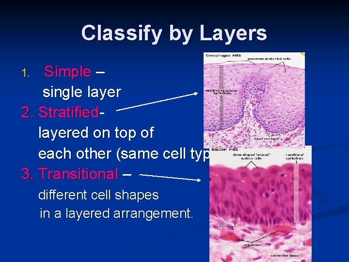 Classify by Layers Simple – single layer 2. Stratifiedlayered on top of each other