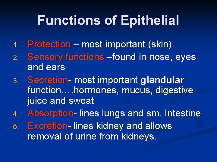 Functions of Epithelial 1. 2. 3. 4. 5. Protection – most important (skin) Sensory