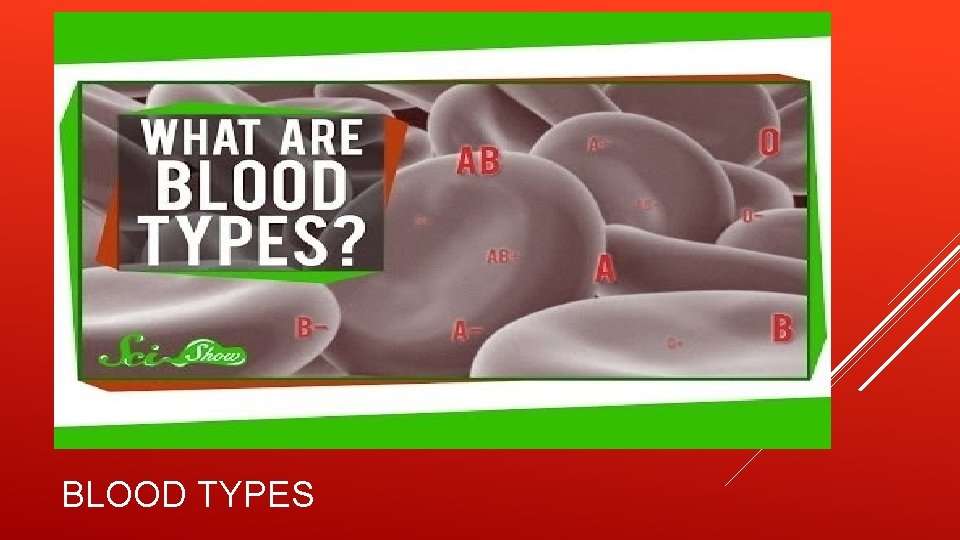 BLOOD TYPES 