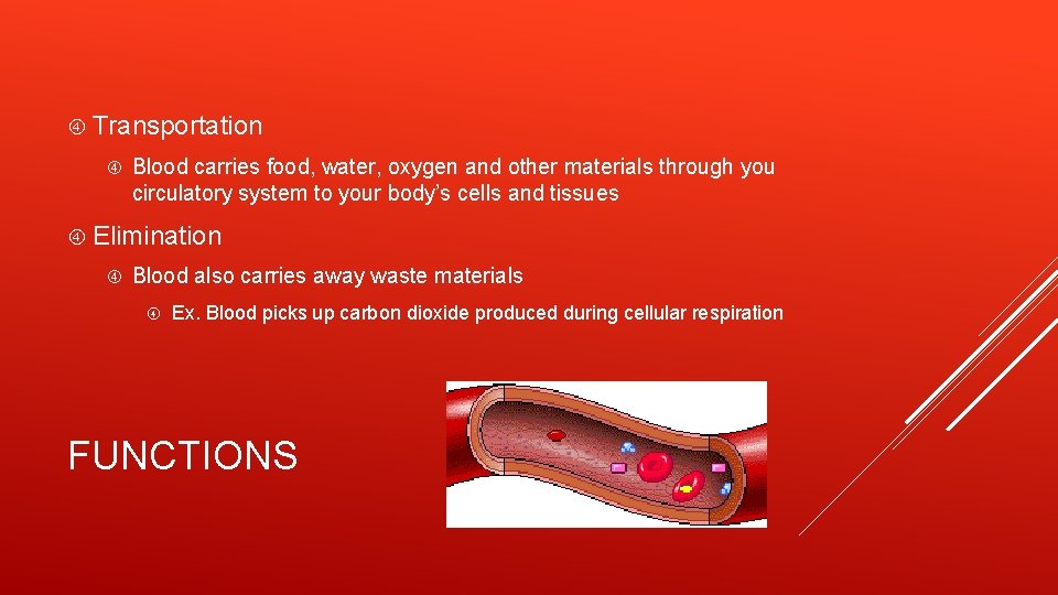  Transportation Blood carries food, water, oxygen and other materials through you circulatory system