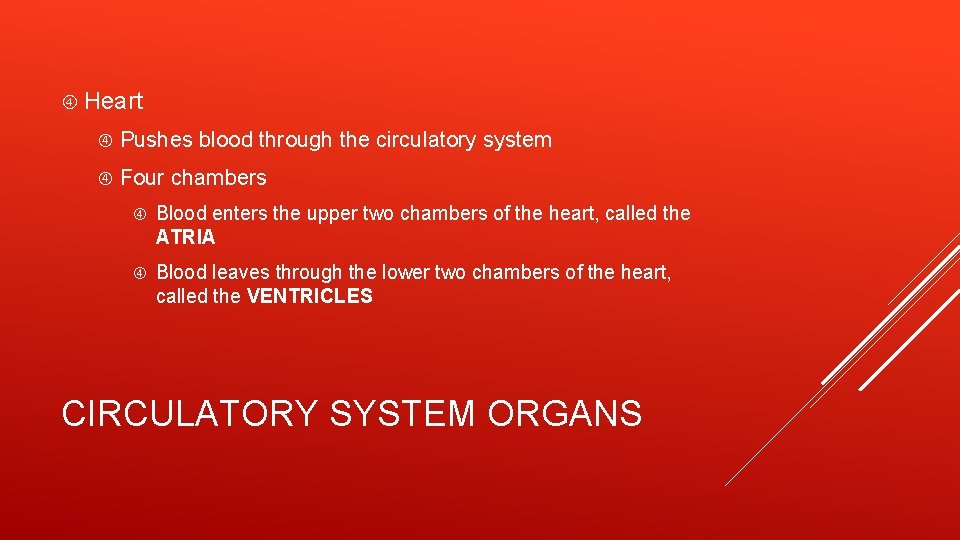  Heart Pushes blood through the circulatory system Four chambers Blood enters the upper