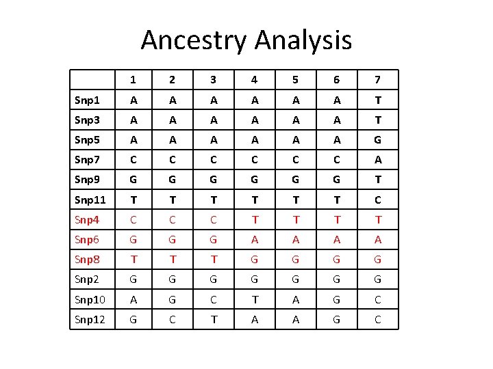 Ancestry Analysis 1 2 3 4 5 6 7 Snp 1 A A A