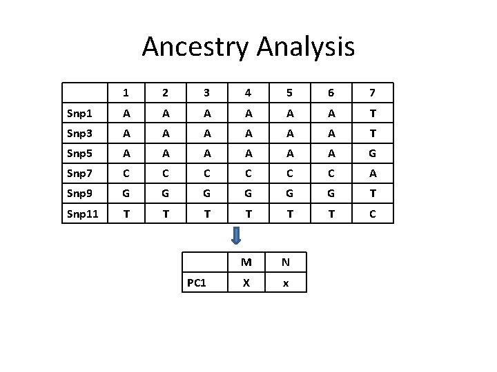 Ancestry Analysis 1 2 3 4 5 6 7 Snp 1 A A A