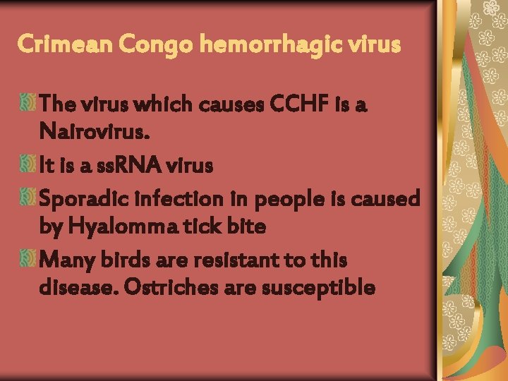 Crimean Congo hemorrhagic virus The virus which causes CCHF is a Nairovirus. It is