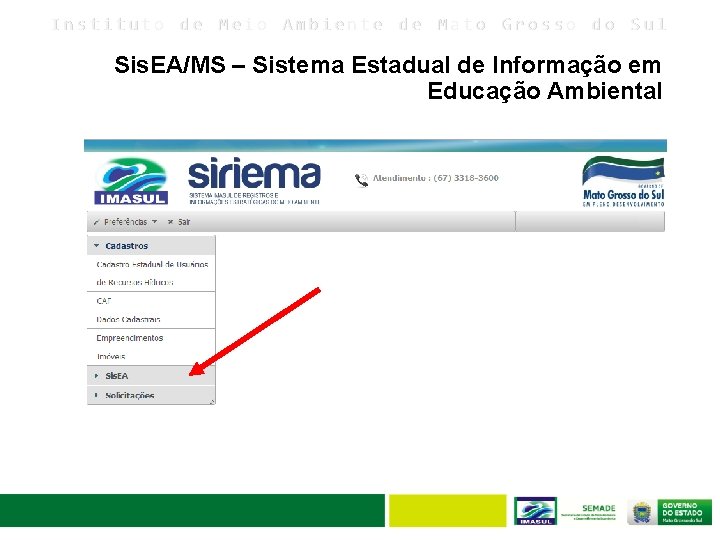 Instituto de Meio Ambiente de Mato Grosso do Sul Sis. EA/MS – Sistema Estadual