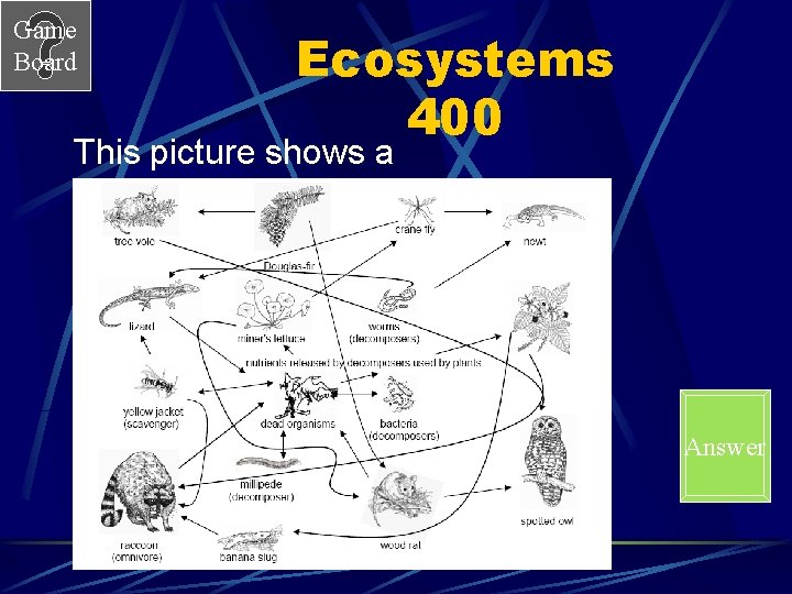 Game Board Ecosystems 400 This picture shows a Answer 