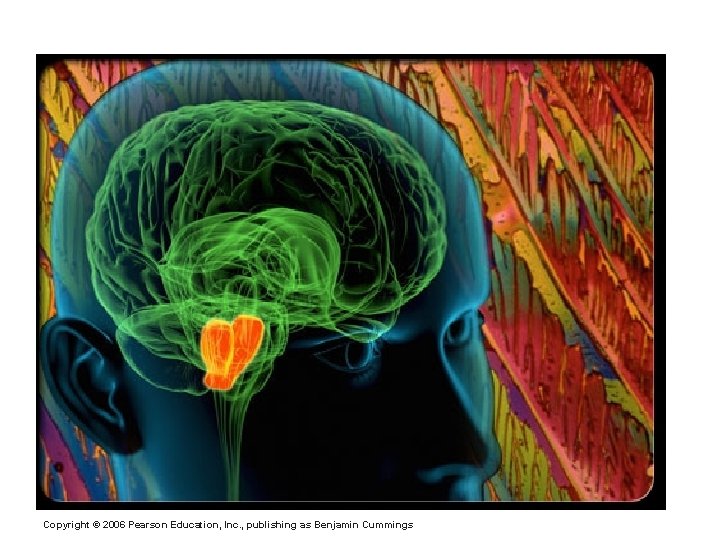Parkinson’s Disease Copyright © 2006 Pearson Education, Inc. , publishing as Benjamin Cummings 
