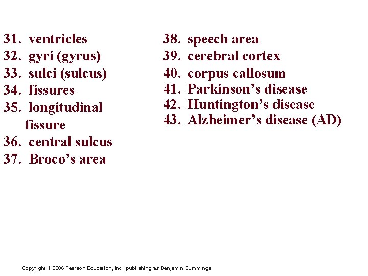 Chapter 7 Vocabulary 31. 32. 33. 34. 35. ventricles gyri (gyrus) sulci (sulcus) fissures