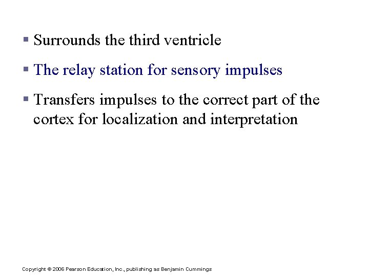 Diencephalon: Thalamus § Surrounds the third ventricle § The relay station for sensory impulses