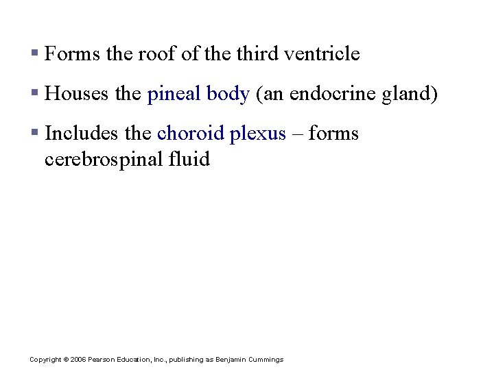 Diencephalon: Epithalamus § Forms the roof of the third ventricle § Houses the pineal