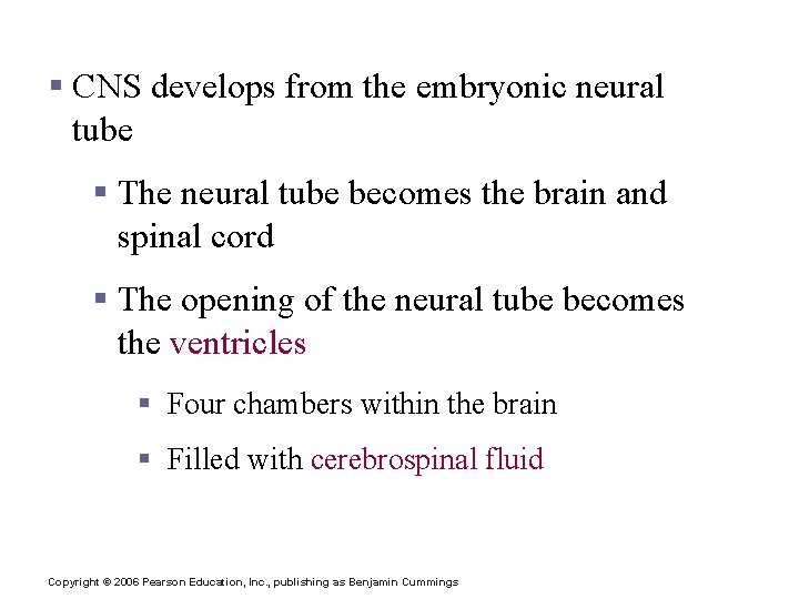 II. Central Nervous System (CNS) § CNS develops from the embryonic neural tube §