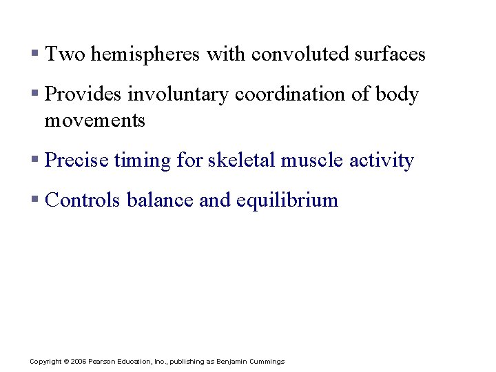 E. Cerebellum § Two hemispheres with convoluted surfaces § Provides involuntary coordination of body