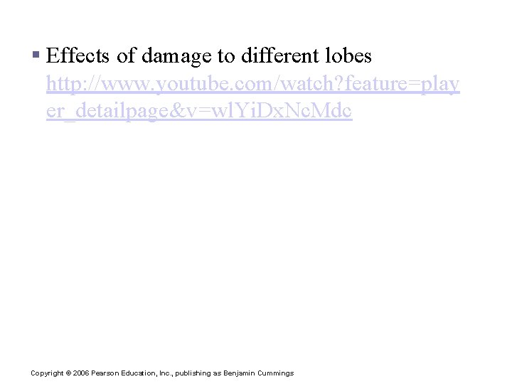 Traumatic Brain Injury Videos § Effects of damage to different lobes http: //www. youtube.