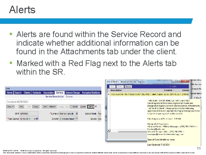 Alerts • Alerts are found within the Service Record and indicate whether additional information
