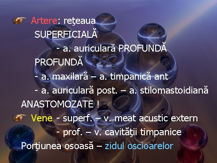 Artere: reţeaua SUPERFICIALĂ - a. auriculară PROFUNDĂ - a. maxilară – a. timpanică ant