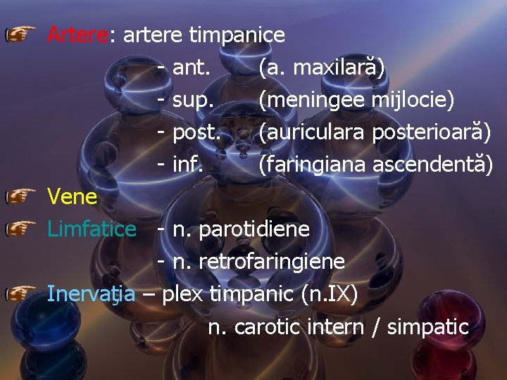 Artere: artere timpanice - ant. (a. maxilară) - sup. (meningee mijlocie) - post. (auriculara