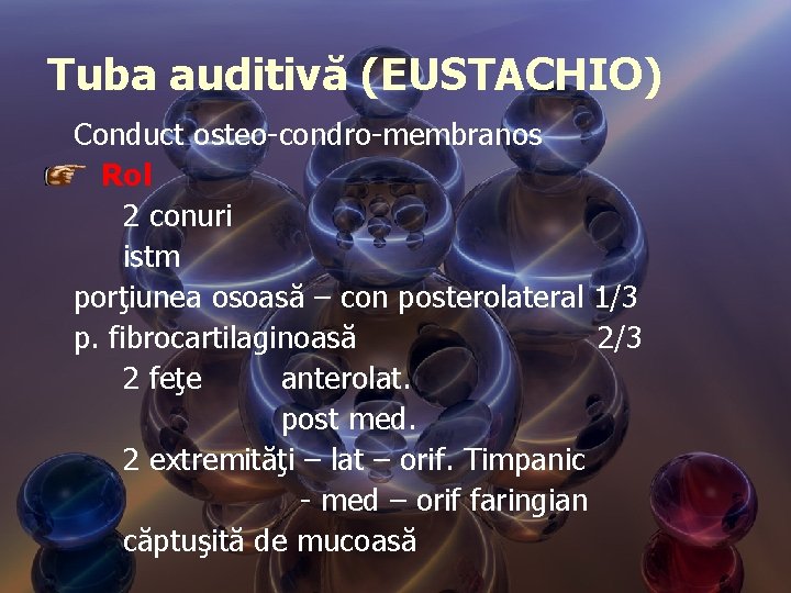 Tuba auditivă (EUSTACHIO) Conduct osteo-condro-membranos Rol 2 conuri istm porţiunea osoasă – con posterolateral