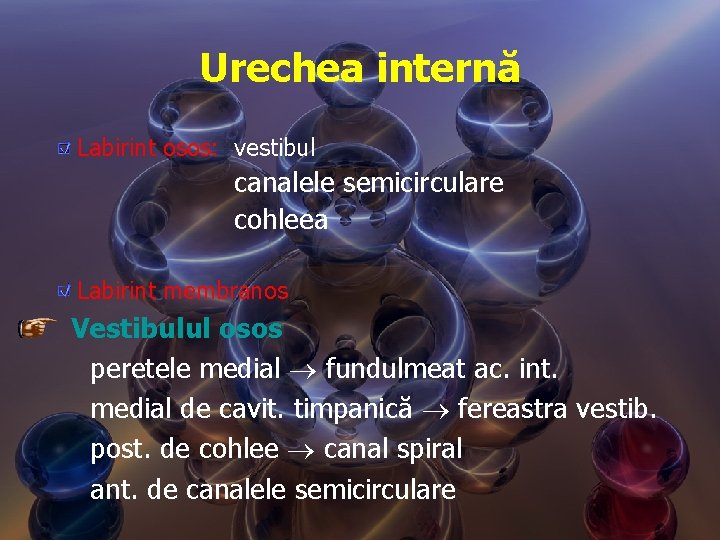 Urechea internă Labirint osos: vestibul canalele semicirculare cohleea Labirint membranos Vestibulul osos peretele medial