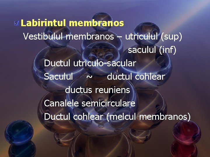 Labirintul membranos Vestibulul membranos – utriculul (sup) saculul (inf) Ductul utriculo-sacular Saculul ~ ductul