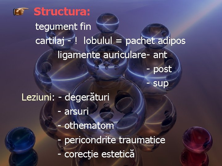 Structura: tegument fin cartilaj - ! lobulul = pachet adipos ligamente auriculare- ant -
