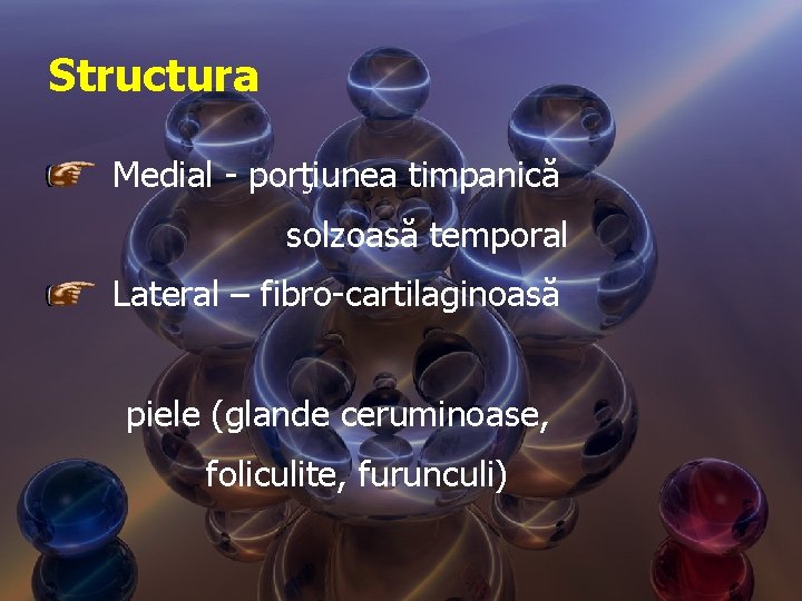 Structura Medial - porţiunea timpanică solzoasă temporal Lateral – fibro-cartilaginoasă piele (glande ceruminoase, foliculite,