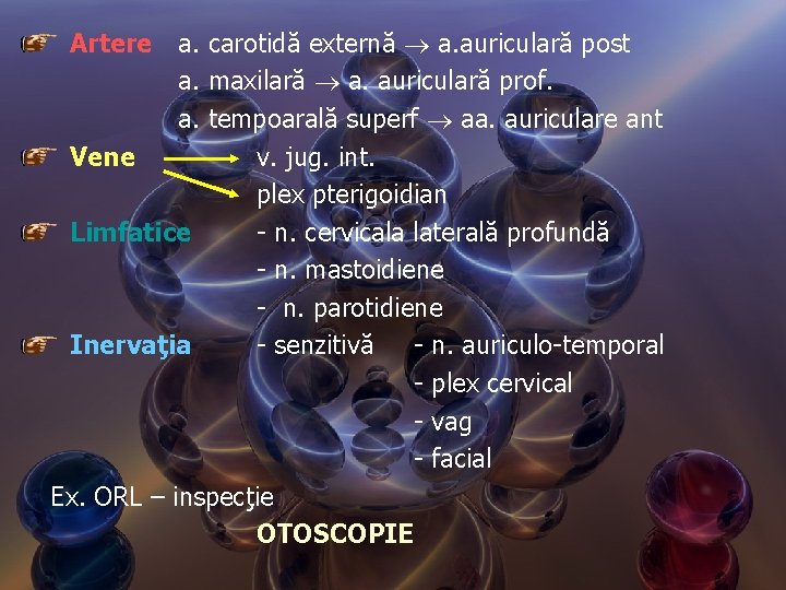 Artere a. carotidă externă a. auriculară post a. maxilară a. auriculară prof. a. tempoarală