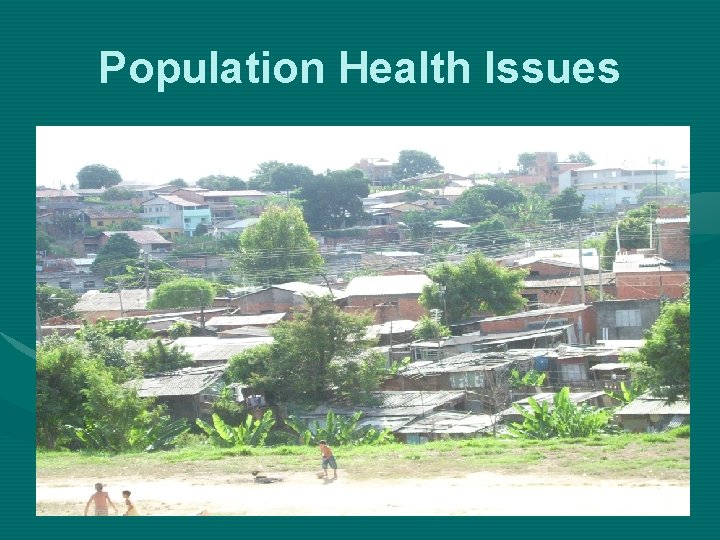 Population Health Issues 
