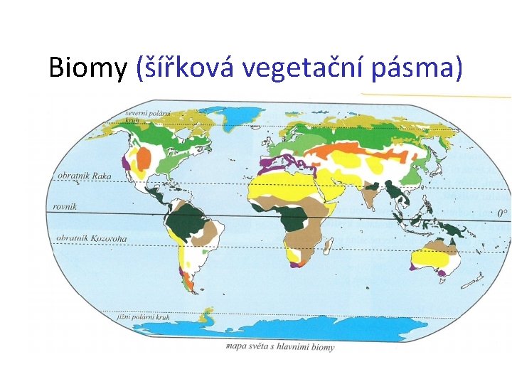 Biomy (šířková vegetační pásma) 