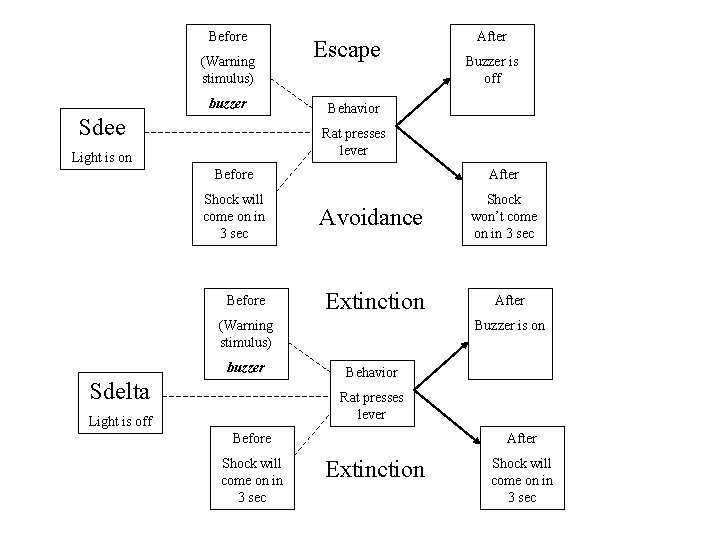 Before (Warning stimulus) buzzer Sdee Escape After Buzzer is off Behavior Rat presses lever
