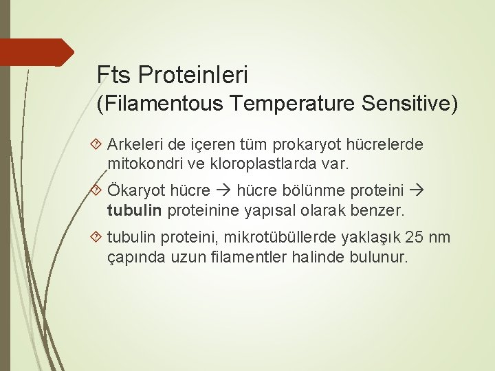 Fts Proteinleri (Filamentous Temperature Sensitive) Arkeleri de içeren tüm prokaryot hücrelerde mitokondri ve kloroplastlarda