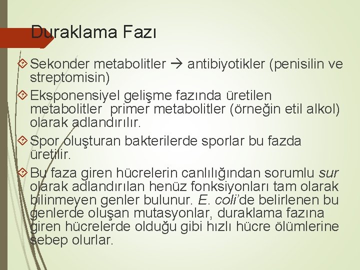 Duraklama Fazı Sekonder metabolitler antibiyotikler (penisilin ve streptomisin) Eksponensiyel gelişme fazında üretilen metabolitler primer