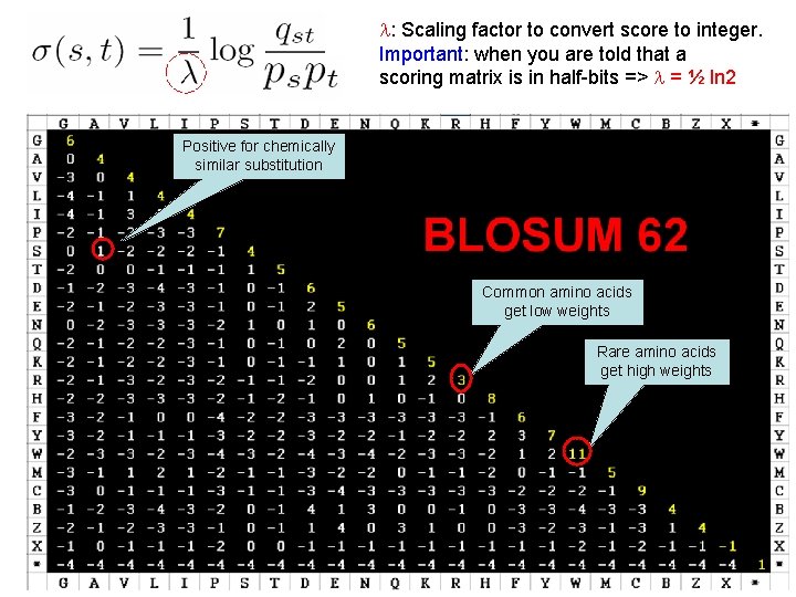  : Scaling factor to convert score to integer. Important: when you are told