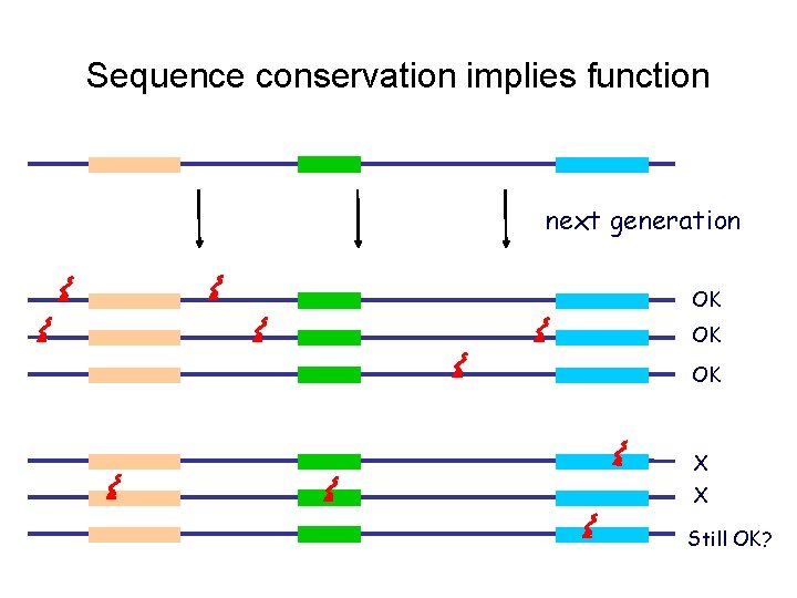 Sequence conservation implies function next generation OK OK OK X X Still OK? 