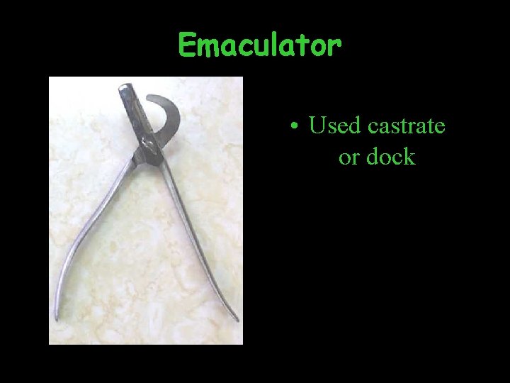 Emaculator • Used castrate or dock 