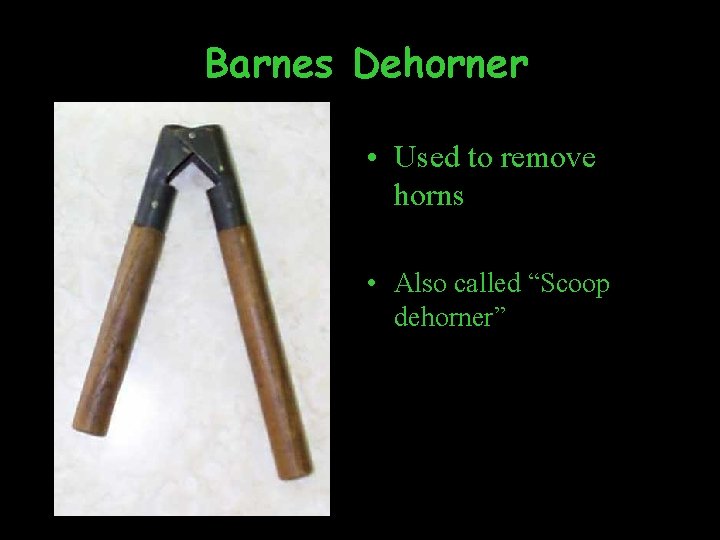 Barnes Dehorner • Used to remove horns • Also called “Scoop dehorner” 