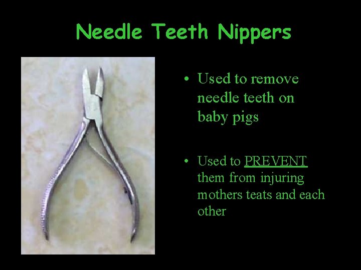 Needle Teeth Nippers • Used to remove needle teeth on baby pigs • Used