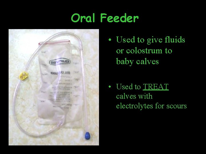 Oral Feeder • Used to give fluids or colostrum to baby calves • Used