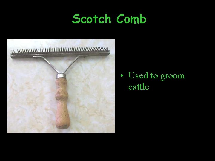 Scotch Comb • Used to groom cattle 