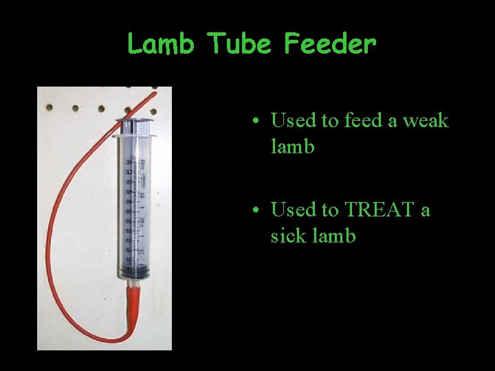 Lamb Tube Feeder • Used to feed a weak lamb • Used to TREAT