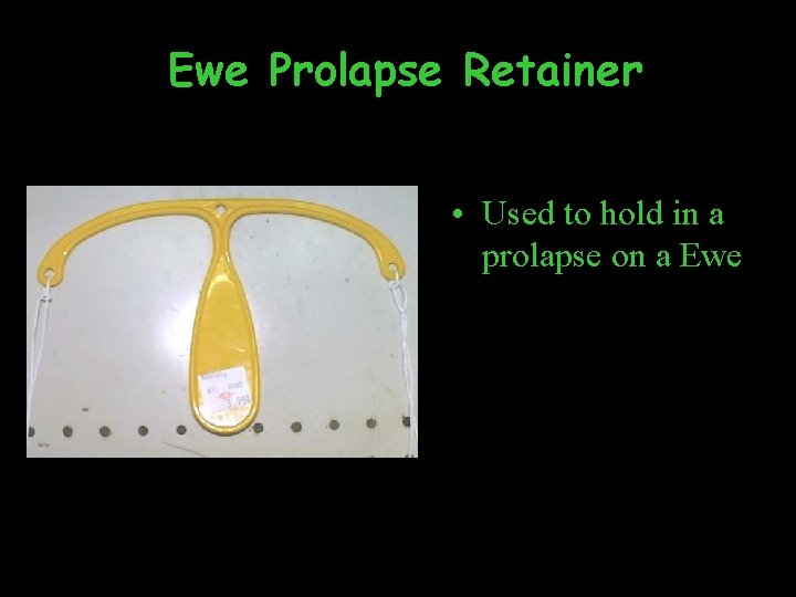 Ewe Prolapse Retainer • Used to hold in a prolapse on a Ewe 