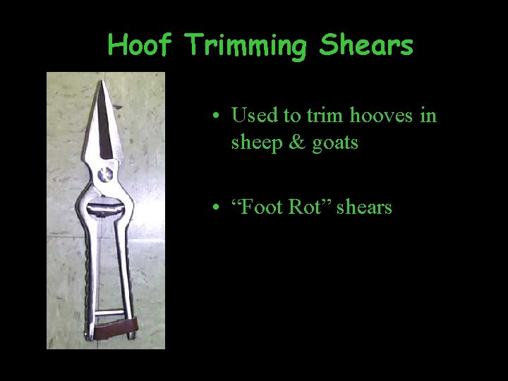 Hoof Trimming Shears • Used to trim hooves in sheep & goats • “Foot