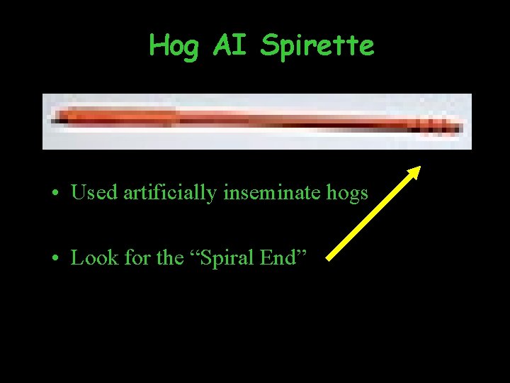 Hog AI Spirette • Used artificially inseminate hogs • Look for the “Spiral End”