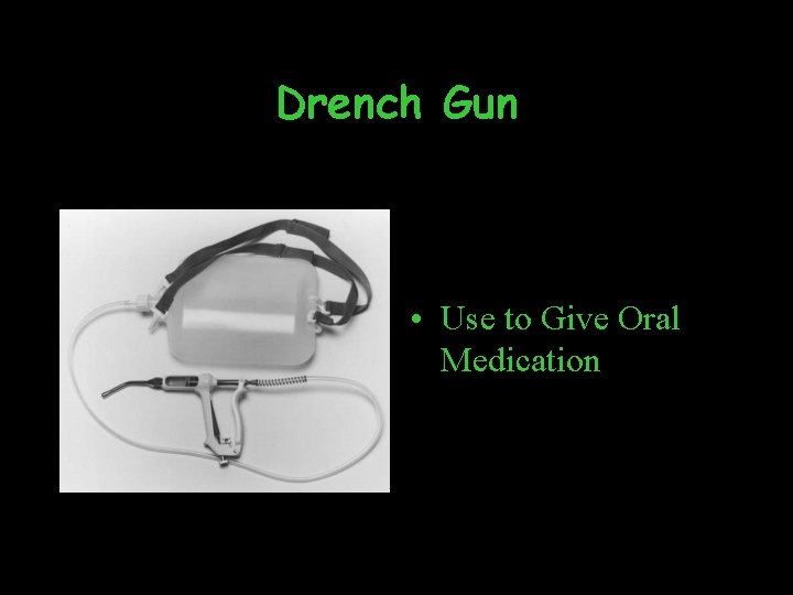 Drench Gun • Use to Give Oral Medication 