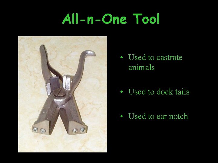 All-n-One Tool • Used to castrate animals • Used to dock tails • Used