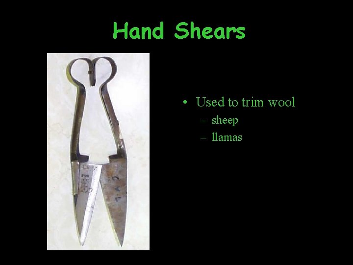 Hand Shears • Used to trim wool – sheep – llamas 