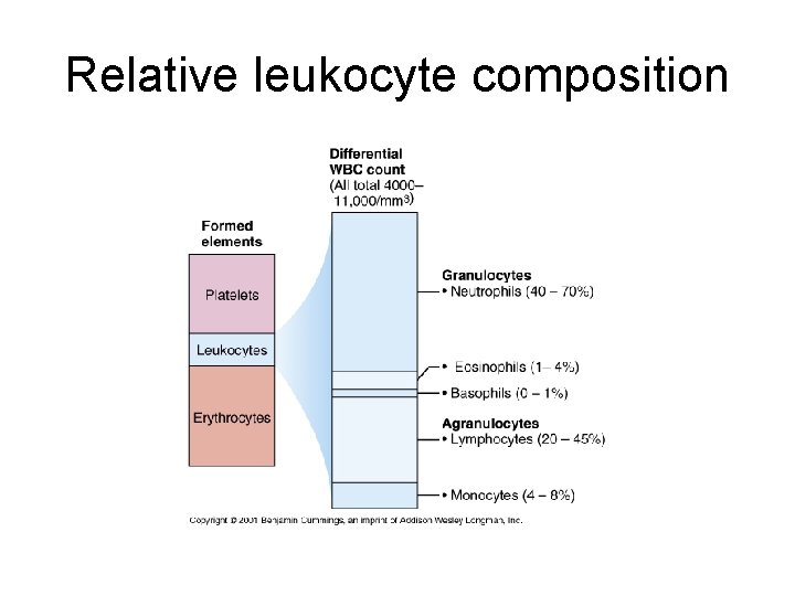 Relative leukocyte composition 