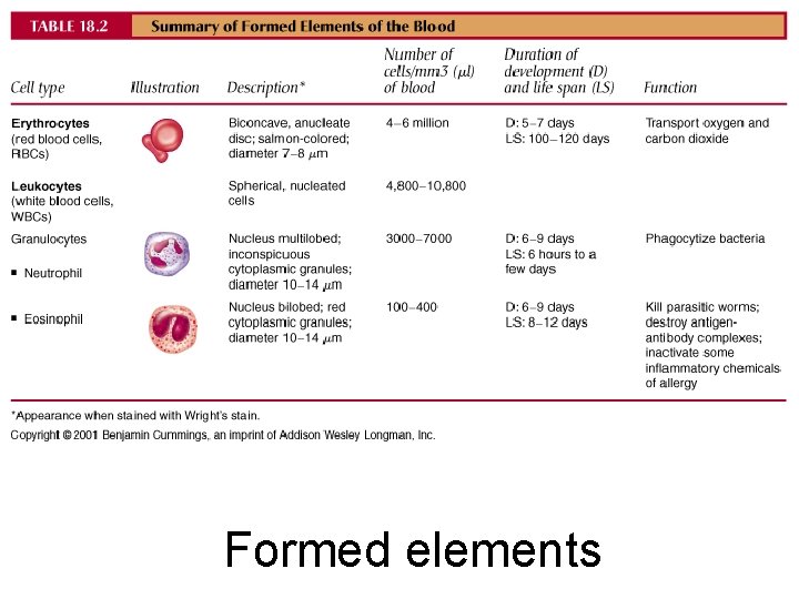 Formed elements 