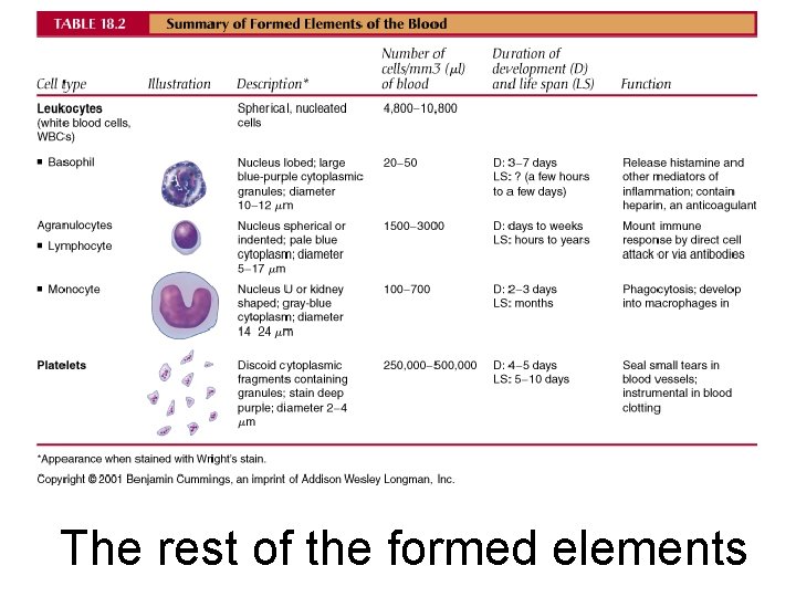 The rest of the formed elements 