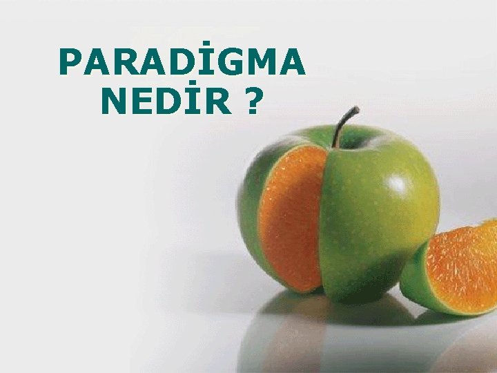 PARADİGMA NEDİR ? 