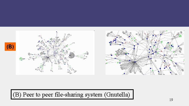 (B) Peer to peer file-sharing system (Gnutella) 19 